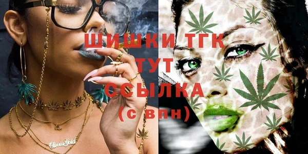тгк Балахна