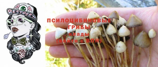 тгк Балахна