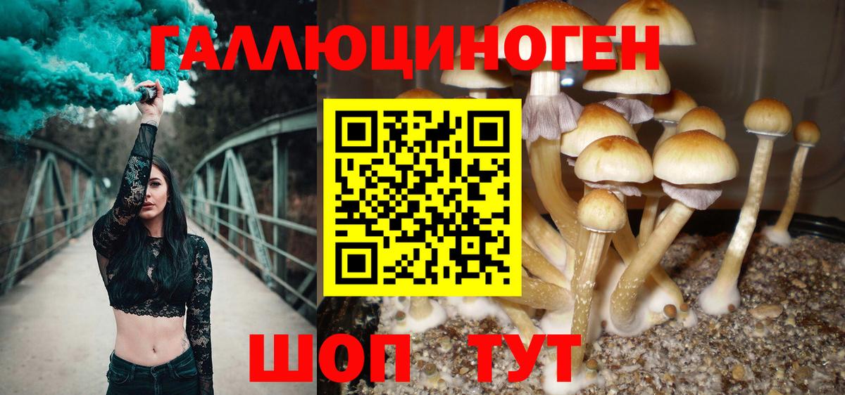 Псилоцибиновые грибы ЛСД  Вход с VPN  Бор 